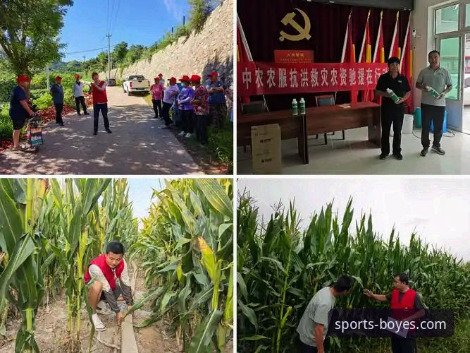 by博业体育平台：其官网最新版本真的安全可靠吗？